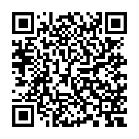 QR code for 387NM6