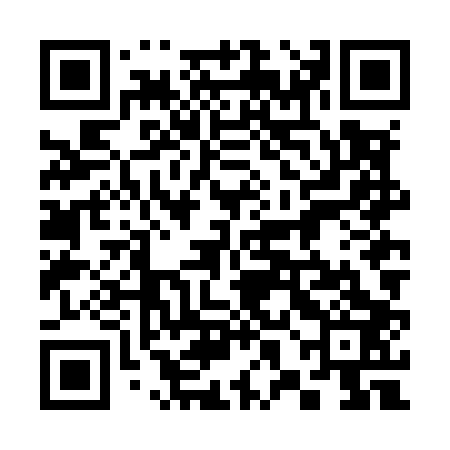QR code for 38NM03