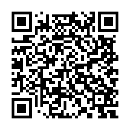 QR code for 38NM06