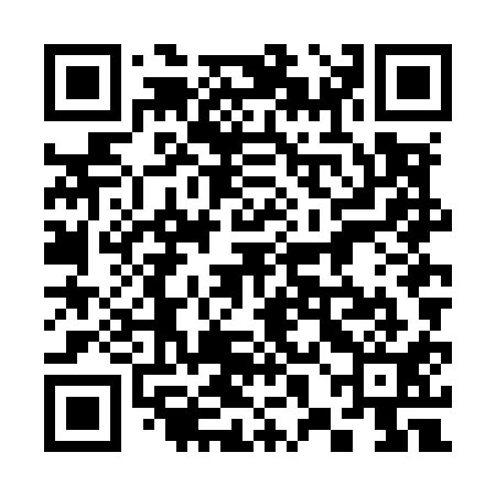 QR code for 38NM11