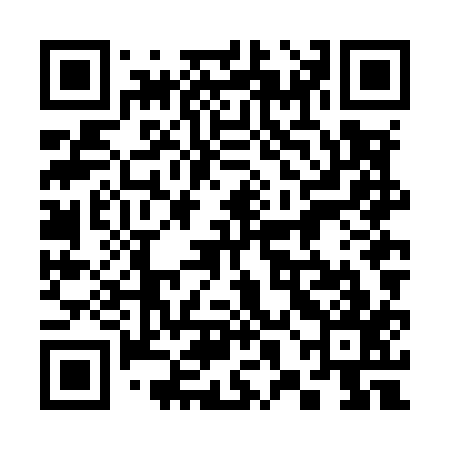 QR code for 38NM17