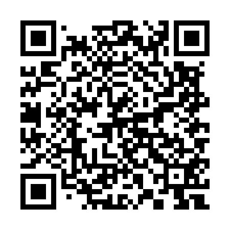 QR code for 38NM51