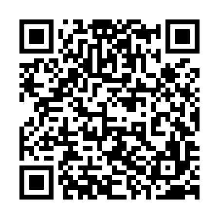 QR code for 38NM96