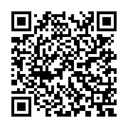QR code for 393NM0
