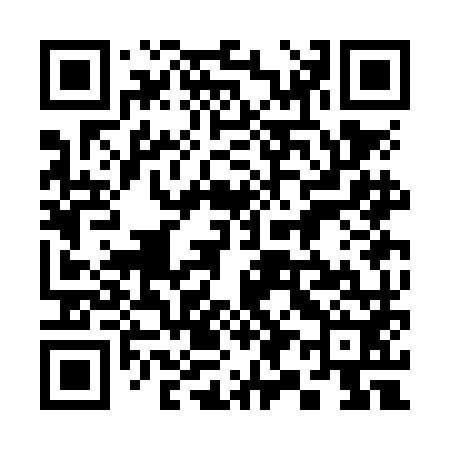 QR code for 393NM2