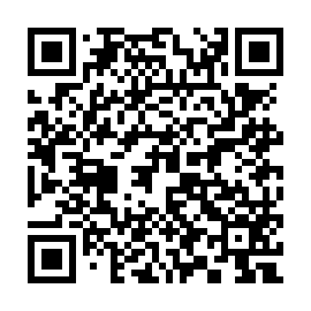 QR code for 393NM6