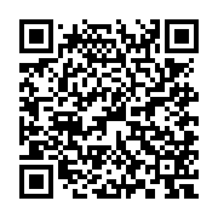 QR code for 394NM6