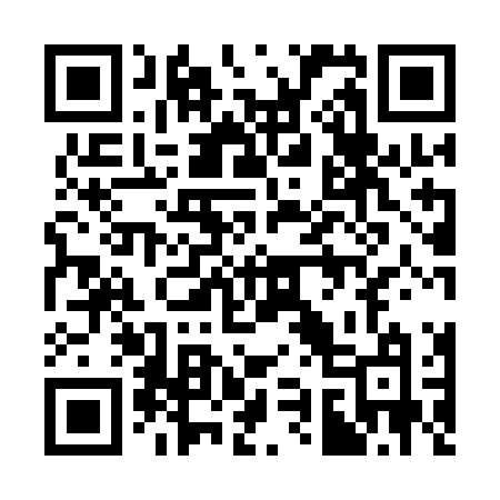 QR code for 3991NM