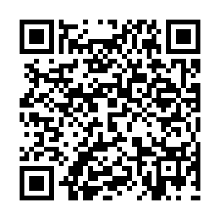 QR code for 3NM333