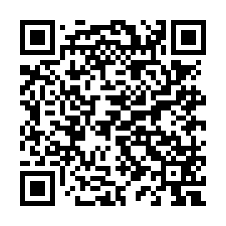 QR code for 411NM3