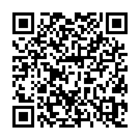 QR code for 4161NM