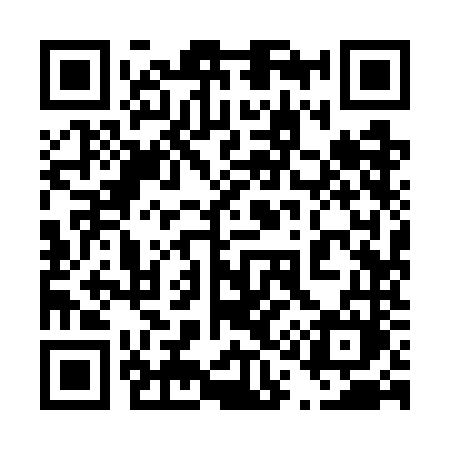 QR code for 4197NM