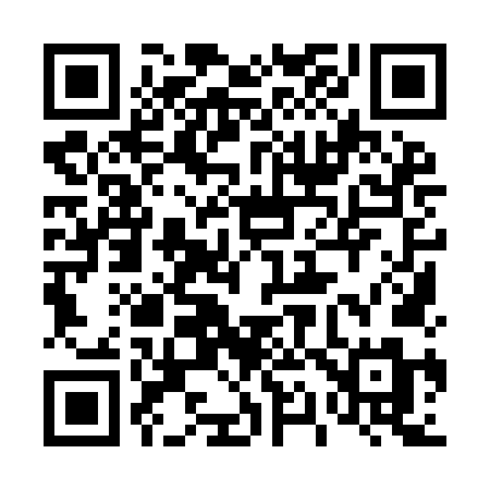 QR code for 4199NM