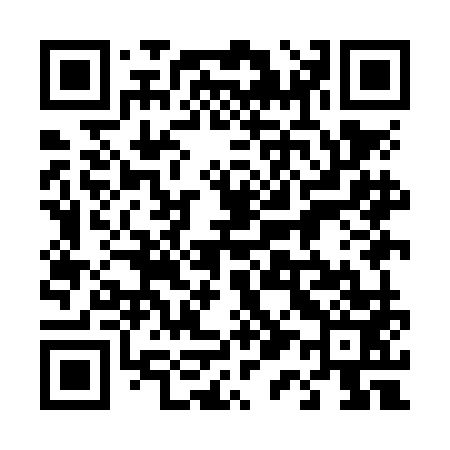 QR code for 419NM3