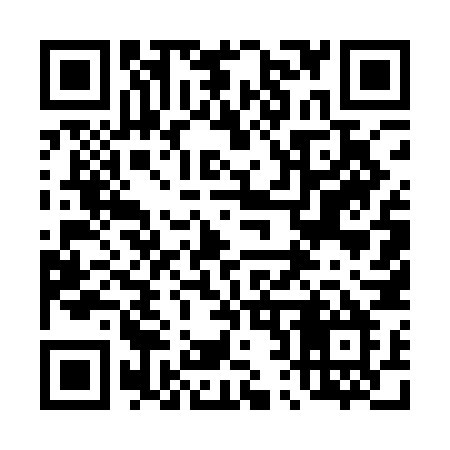 QR code for 4251NM