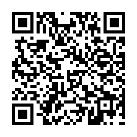 QR code for 45NM29