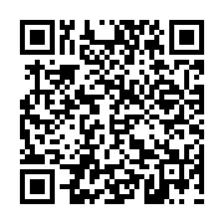 QR code for 45NM31