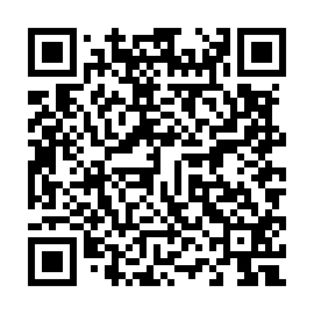QR code for 46NM12