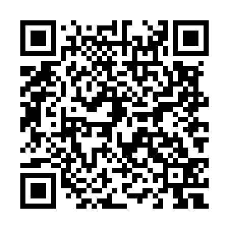 QR code for 46NM33