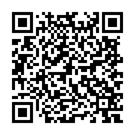QR code for 46NM63