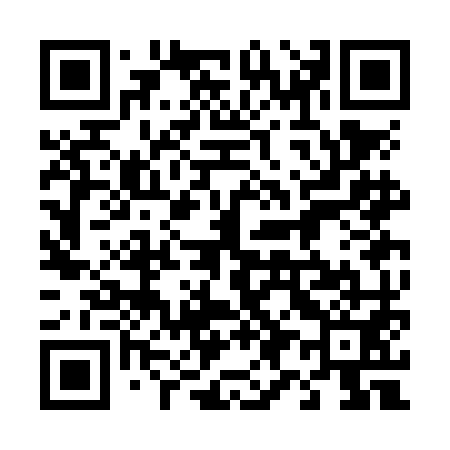 QR code for 493NM1