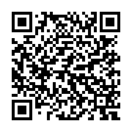 QR code for 493NM3