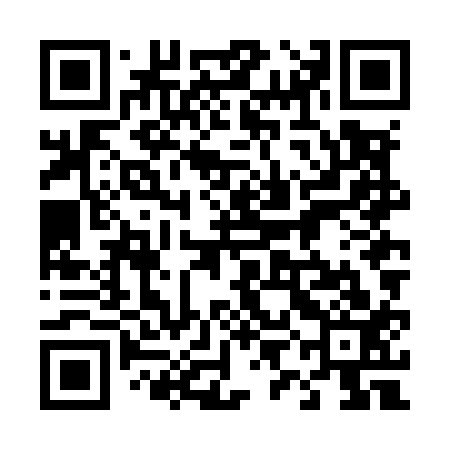 QR code for 49NM13