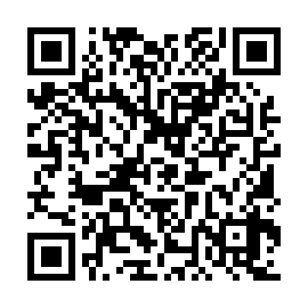 QR code for 4NM038