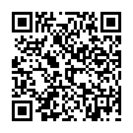 QR code for 4NM295
