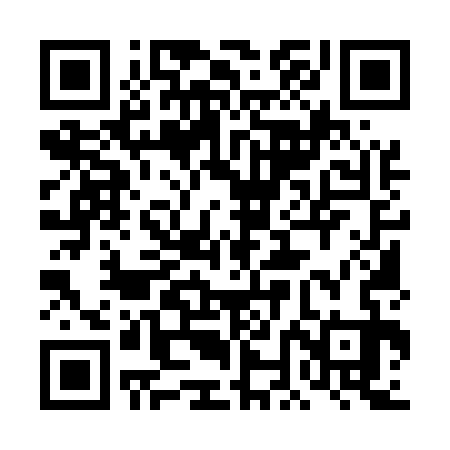 QR code for 4NM533