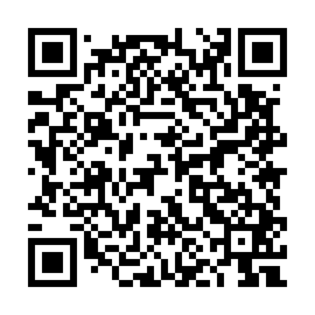 QR code for 4NM541