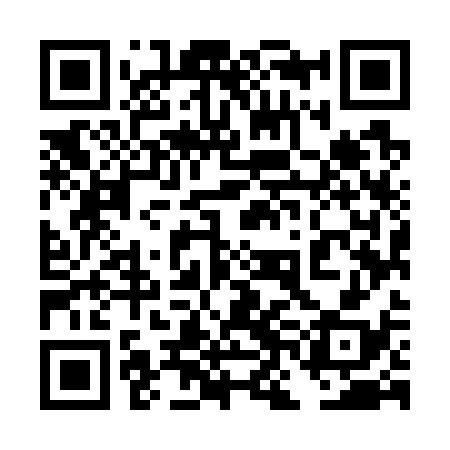 QR code for 4NM738