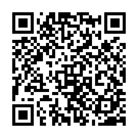 QR code for 53NM81