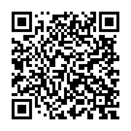 QR code for 55NM03