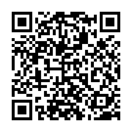 QR code for 55NM29
