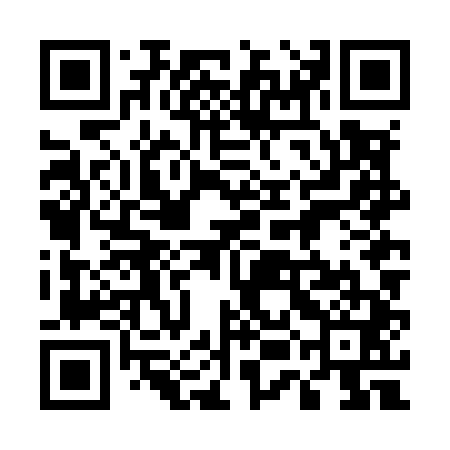 QR code for 55NM41