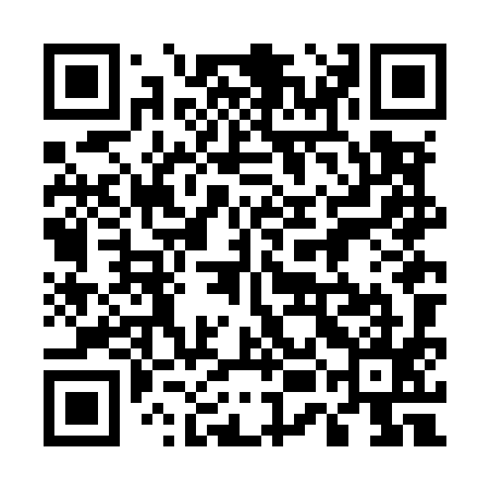 QR code for 55NM95