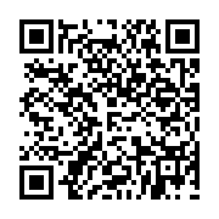 QR code for 5NM333