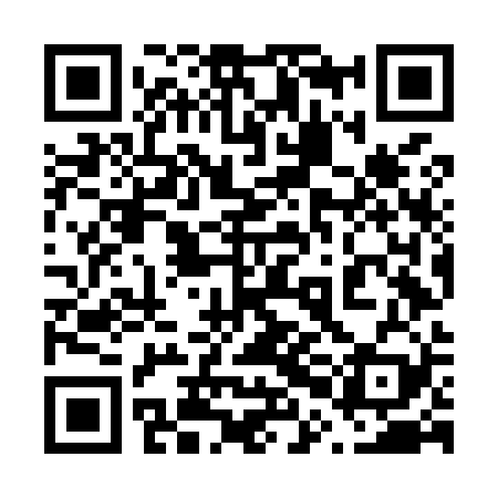 QR code for 60NM29