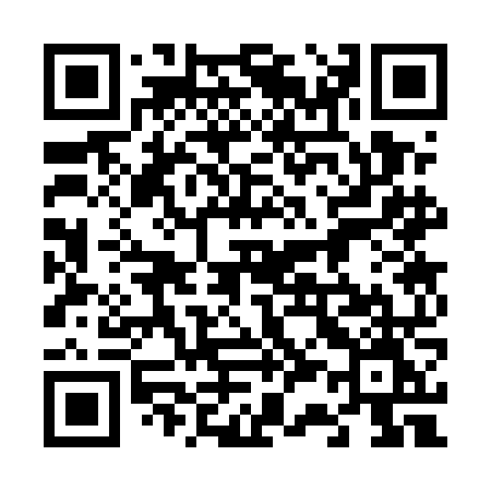 QR code for 6335NM
