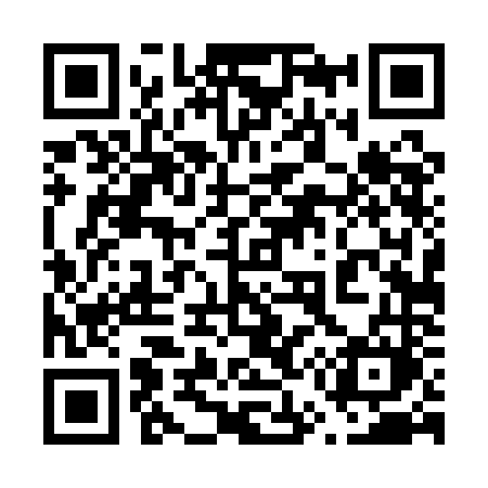 QR code for 6541NM