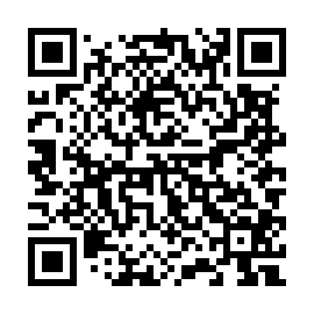 QR code for 66NM04