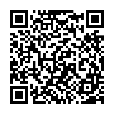 QR code for 699NM2
