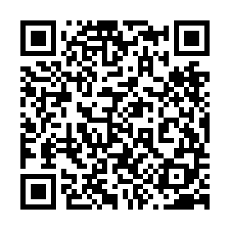 QR code for 699NM8