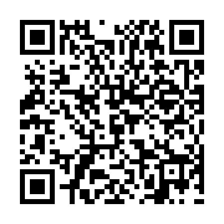 QR code for 6NM308
