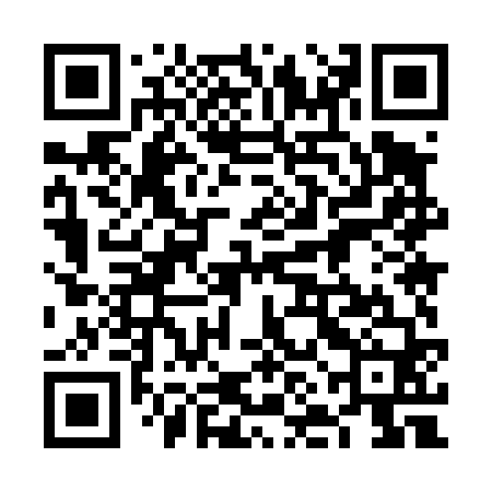 QR code for 6NM460