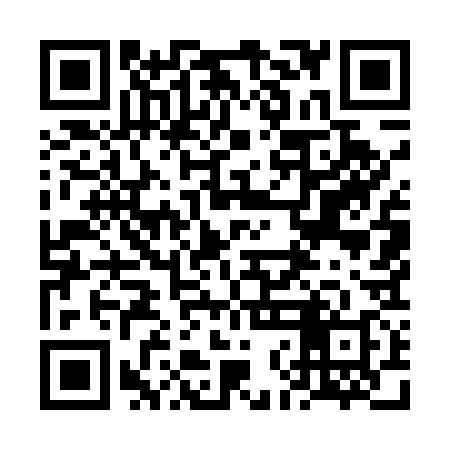 QR code for 6NM538