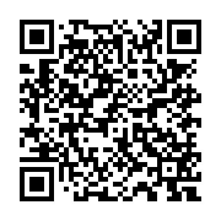 QR code for 738NM3