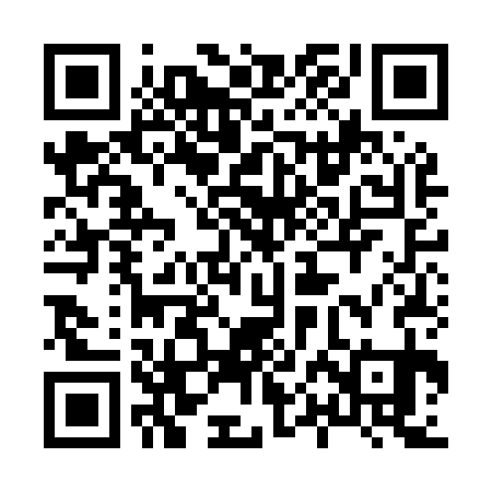 QR code for 80NM31