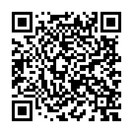 QR code for 81NM03